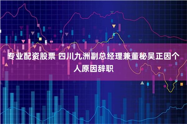 专业配资股票 四川九洲副总经理兼董秘吴正因个人原因辞职